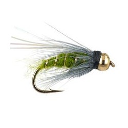 Flashabou Caddis