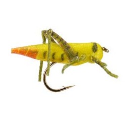 Orange Tail Hopper