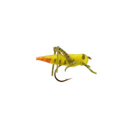 Orange Tail Hopper
