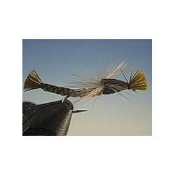 Parachute Damsel Olive