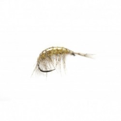 Freshwater Shrimp (Oe) Barbless