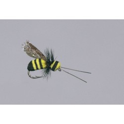 Rainys Brown Gorilla Chernobyl Ant