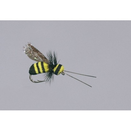 Rainys Brown Gorilla Chernobyl Ant