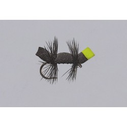 Rainys Bullet Head Cricket