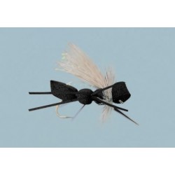 Rainys Cinnamon Carpenter Ant