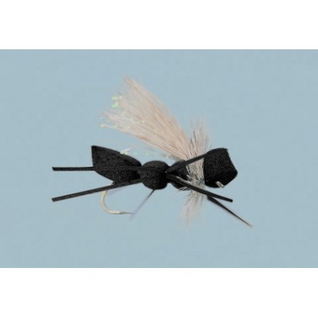 Rainys Cinnamon Carpenter Ant