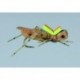 Rainys Hi Viz Tan Grand Hopper