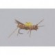 Rainys Insect Brown Hi Viz Hopper