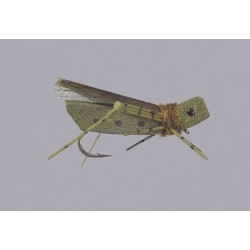 Rainys Olive Grand Hopper