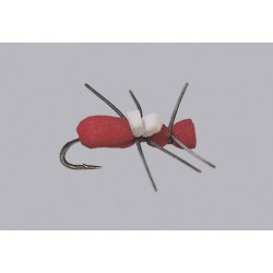 Rainys Red Ant
