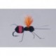 Rainys Red Butt Carpenter Ant