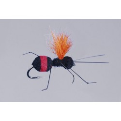 Rainys Red Butt Carpenter Ant