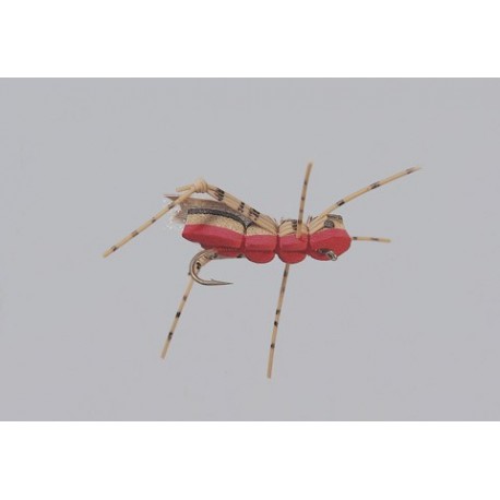 Rainys Red Gorilla Hopper