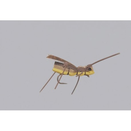 Rainys Yellow Gorilla Hopper