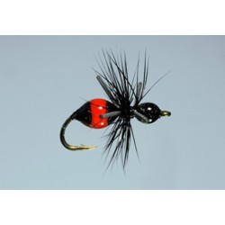 Steeve's Attract Ant