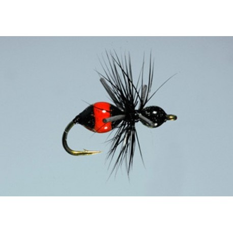 Steeve's Attract Ant