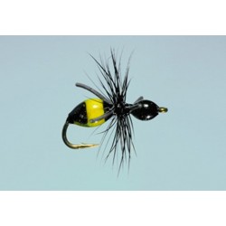 Steeves Attract Ant Blk Red