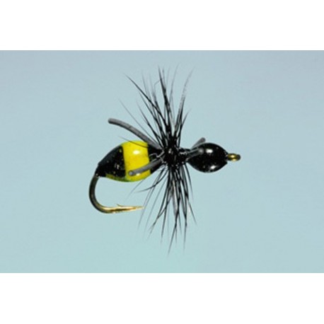 Steeves Attract Ant Blk Red