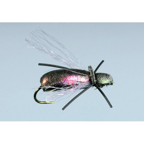 Steeves Flying Loco Beetle