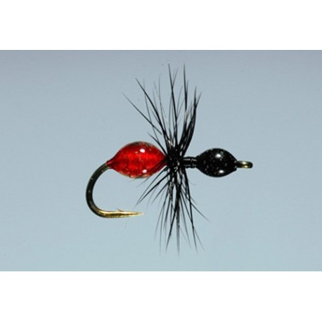 Steeves Transpara Ant Blk Red