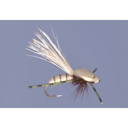 Tims Carburetor Olive