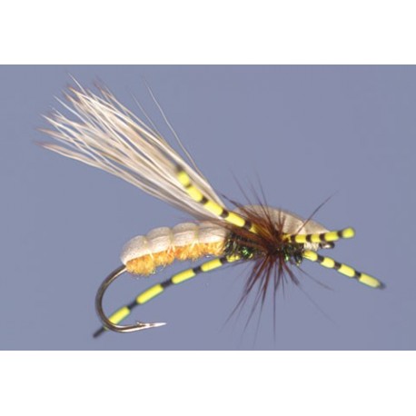 Tims Carburetor Yellow