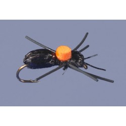 Whitlocks Bright Spot Carpenter Ant Black