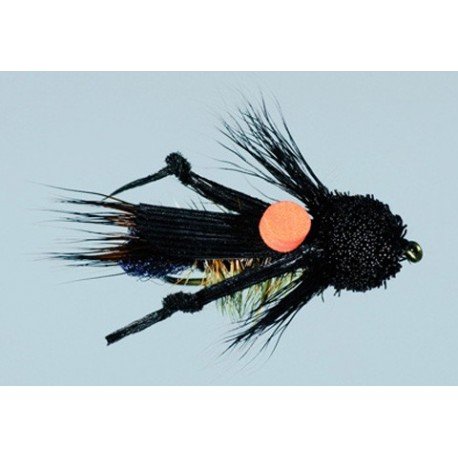 Whitlocks Bright Spot Cricket