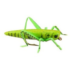 X True Hopper Green