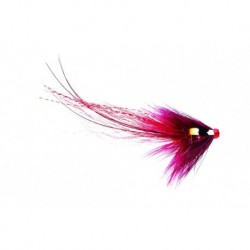 Pot Belly Pig Claret