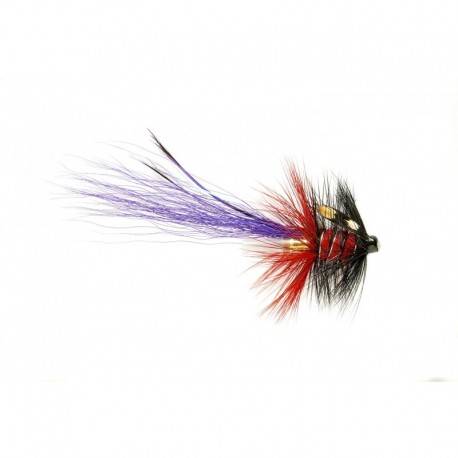 Purple & Red Pbp