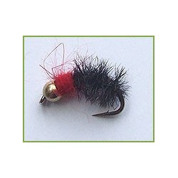 Goldbead Nymph Ostrich