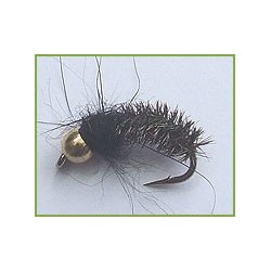 Goldbead Nymph Peacock