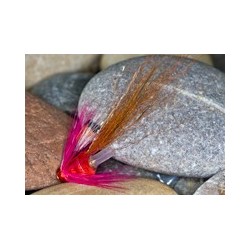 Tilbouries Shrimp Bb