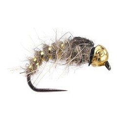 Gold Ribbed Hares Ear