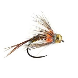 Large Woven Mayfly Nymph