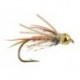Poor Copper Nymph