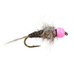 Red Neck Pheasant Tail