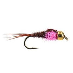 Tactical Pheasant Tail Pink Collar