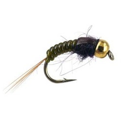 Ales Olive Body Glas