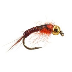 Ales Orange Body Glas