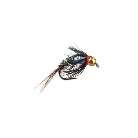 Ales Rainbow Pheasant
