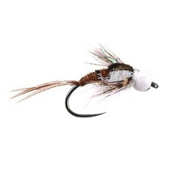 Ales Pt White Competition