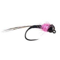 Armandos Rainbow Catcher