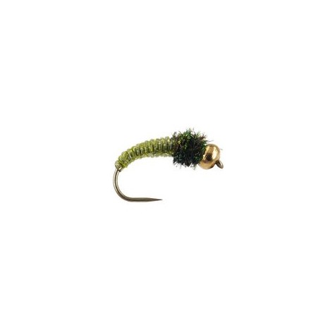 Caddis Larva Olive