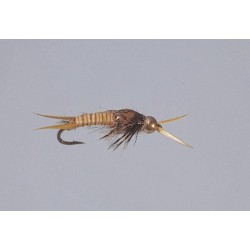 Golden Epoxyback Stone