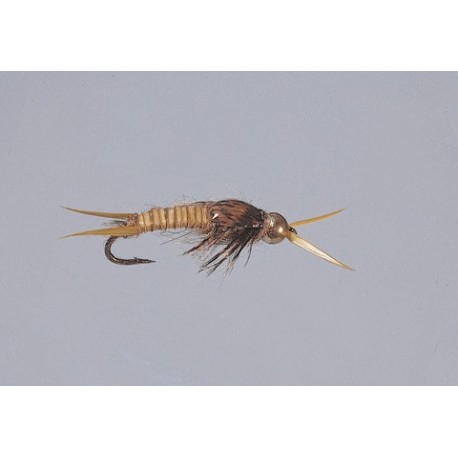 Golden Epoxyback Stone