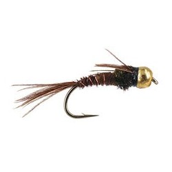 Peacock Pheasant Tail