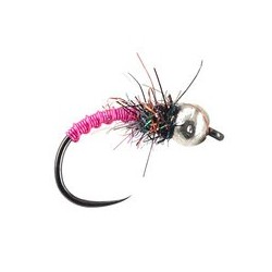 Peacock Pink Copper Nymph