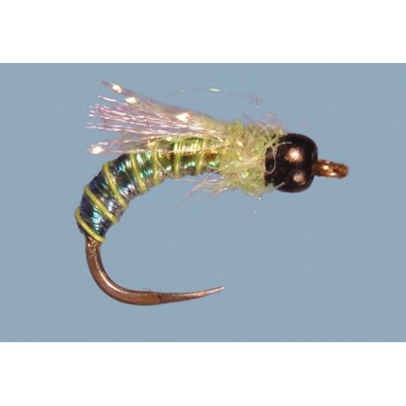 Solomons Faerie Circus Green